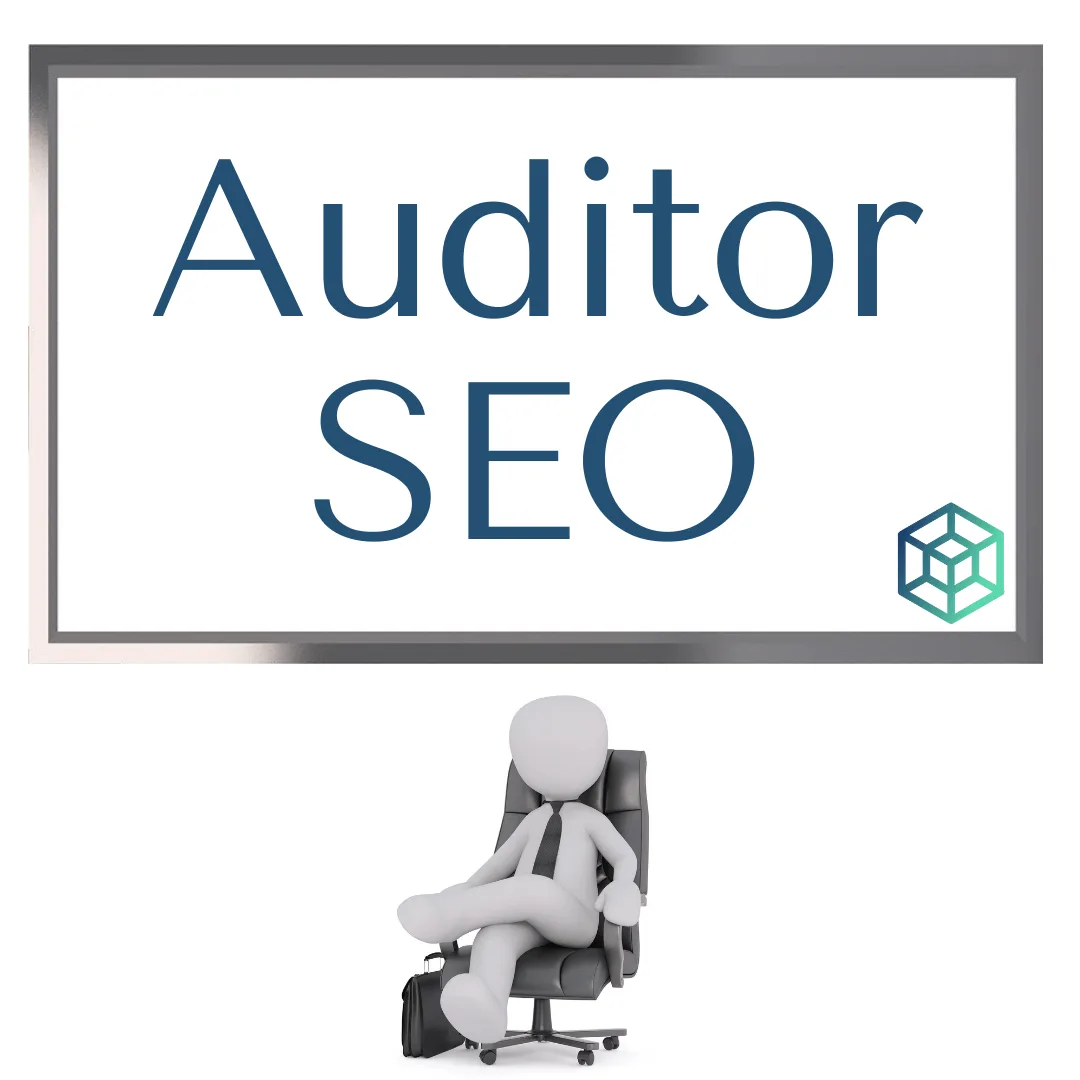 Profesión Auditor SEO