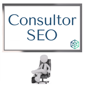 Profesión Consultor SEO